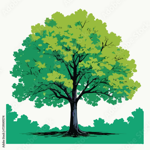 green tree isolated on white