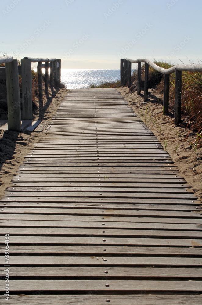 Fototapeta premium Wooden boardwalk path leading to the ocean