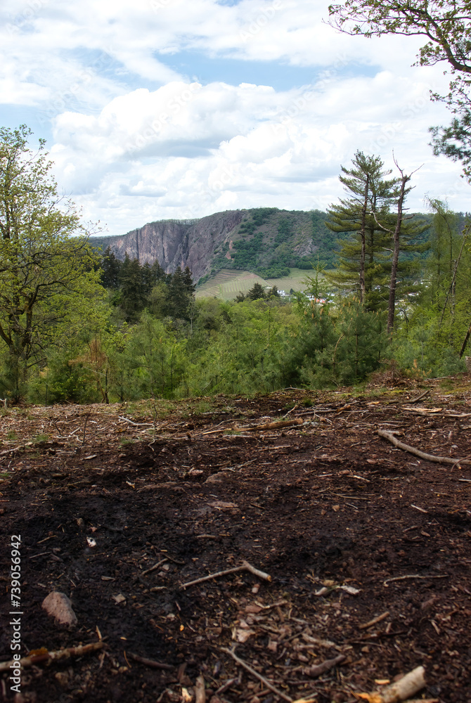 Ground on a hill overlooking trees with Rotenfels in the background on a spring day in Rhineland Palatinate, Germany.