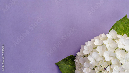 紫色の背景へアジサイの花でフラワーフレームを作った画像4