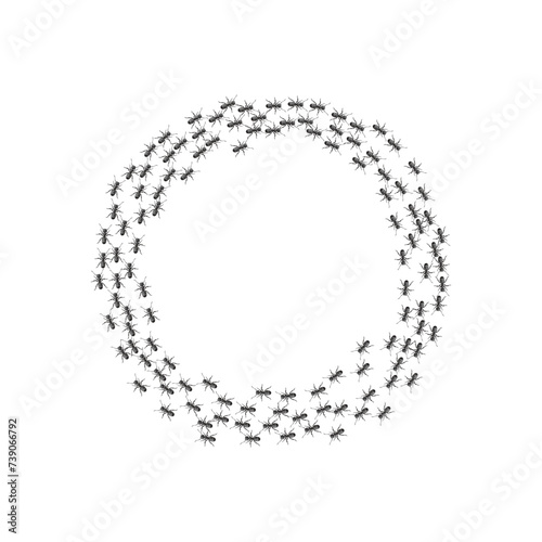 Ants going in a circle. Ant death circle vector.