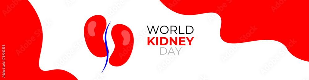 world kidney day concept poster, cover, flyer, banner, background. The national kidney month vector illustration. Abstract illustration for prevention of kidney diseases. Urogenital system. world kidney day concept poster, cover, flyer, banner, background. The national kidney month vector illustration. Abstract illustration for prevention of kidney diseases. Urogenital system.