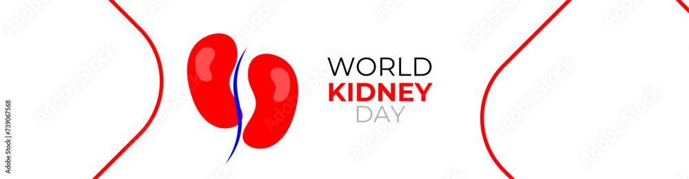 world kidney day concept poster, cover, flyer, banner, background. The national kidney month vector illustration. Abstract illustration for prevention of kidney diseases. Urogenital system. world kidney day concept poster, cover, flyer, banner, background. The national kidney month vector illustration. Abstract illustration for prevention of kidney diseases. Urogenital system.