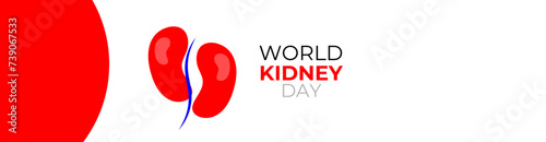 world kidney day concept poster, cover, flyer, banner, background. The national kidney month vector illustration. Abstract illustration for prevention of kidney diseases. Urogenital system.