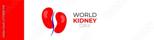 world kidney day concept poster, cover, flyer, banner, background. The national kidney month vector illustration. Abstract illustration for prevention of kidney diseases. Urogenital system.