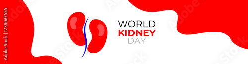 world kidney day concept poster, cover, flyer, banner, background. The national kidney month vector illustration. Abstract illustration for prevention of kidney diseases. Urogenital system.