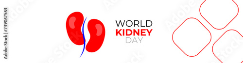 world kidney day concept poster, cover, flyer, banner, background. The national kidney month vector illustration. Abstract illustration for prevention of kidney diseases. Urogenital system.