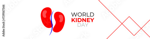 world kidney day concept poster, cover, flyer, banner, background. The national kidney month vector illustration. Abstract illustration for prevention of kidney diseases. Urogenital system.