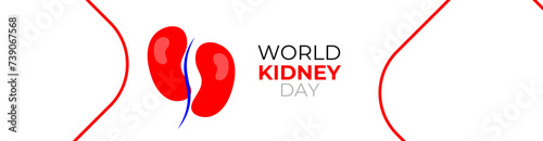 world kidney day concept poster, cover, flyer, banner, background. The national kidney month vector illustration. Abstract illustration for prevention of kidney diseases. Urogenital system. photo