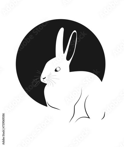 The silhouette of a rabbit on a white background. Vector illustration