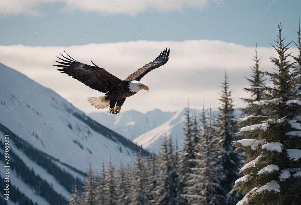 Fototapeta premium A landscape of snow-capped mountains with a majestic bald eagle hovering in the foreground among the evergreen trees at the foot of the hills.