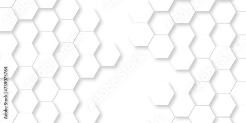 Abstract modern Background with white lines 3d Hexagonal structure futuristic white background and Embossed Hexagon   honeycomb white Background  light and shadow  Vector.