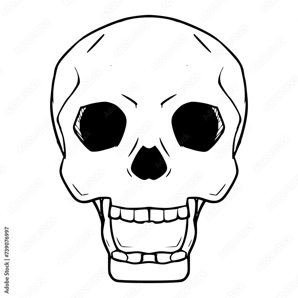 Obraz premium human skull illustration hand drawn outline isolated vector