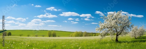 Spring green lawn landscape under clear blue sky.