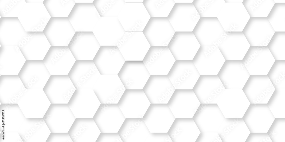 Abstract modern Background with white lines 3d Hexagonal structure futuristic white background. Modern minimal Embossed Hexagon , honeycomb white Background ,light and shadow ,Vector. Abstract modern Background with white lines 3d Hexagonal structure futuristic white background. Modern minimal Embossed Hexagon , honeycomb white Background ,light and shadow ,Vector.