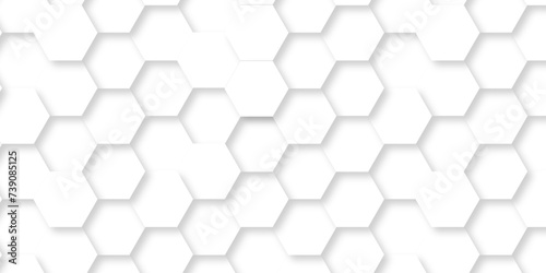 Abstract modern Background with white lines 3d Hexagonal structure futuristic white background. Modern minimal Embossed Hexagon   honeycomb white Background  light and shadow  Vector.