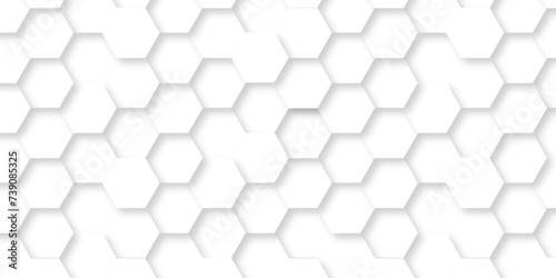 Fototapeta Naklejka Na Ścianę i Meble -  Abstract modern white 3d Hexagonal structure futuristic white background. Modern minimal Embossed Hexagon , honeycomb white Background ,light and shadow ,Vector.