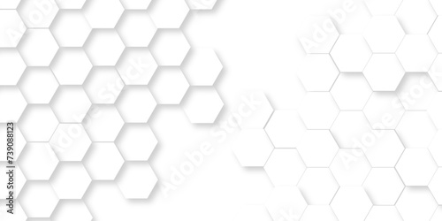 Abstract modern Background with white lines 3d Hexagonal structure futuristic white background and Embossed Hexagon , honeycomb white Background ,light and shadow ,Vector.