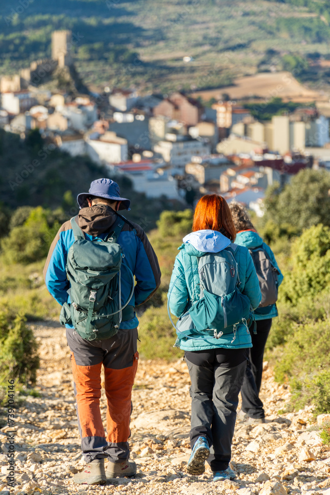 Fototapeta premium Back view to people hiking outdoors