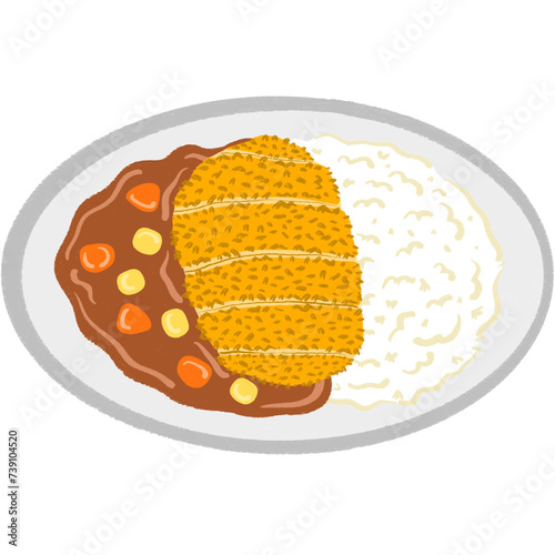 curry rice with fried pork photo