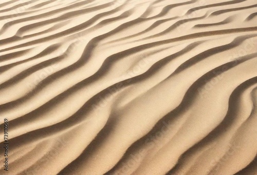 sand ripples in the sand © hamza