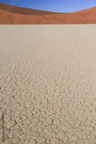 clay pan pattern of Deadvlei, Namib desert