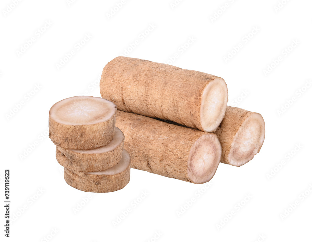 burdock roots  isolated on transparent png