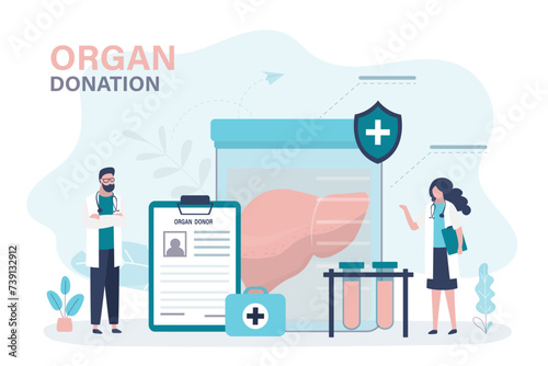 Team of transplant doctors and surgeons evaluate quality and health of donor liver for transplantation into patient. Donor human organs anatomical healthy liver.