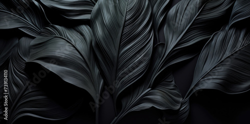 closeup nature view Black leaf and palms background. Flat lay  dark nature concept  tropical leaf