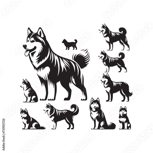 Radiant Resonance: Siberian Husky Dog Silhouette in Starlight - Siberian Husky Vector Stock - Siberian Husky Illustration
