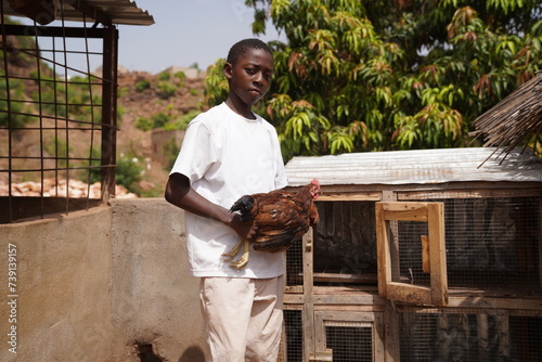 African farmboy at a poultry farm taking care of a rooster - concept of small sustainable business in developing countries