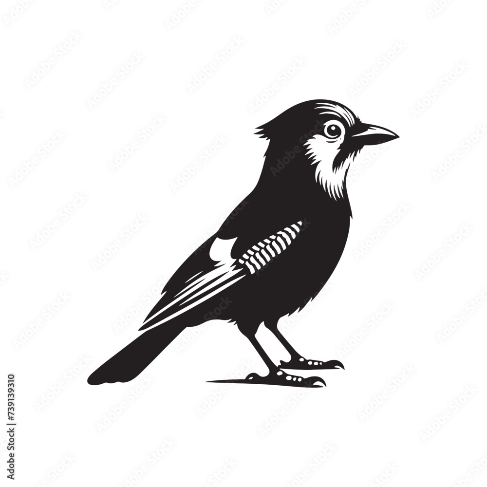 Fototapeta premium Galactic Ballet: Celestial Blue Jay Silhouette in Galactic Dance - Blue Jay Illustration - Blue Jay Bird Vector 