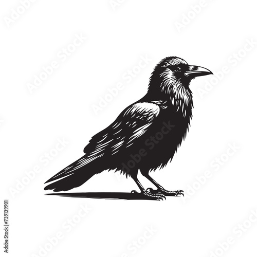Nightfall's Embrace: Intricate Crow Silhouette Dancing in the Moonlight - Crow Vector Stock - Crow Illustration
