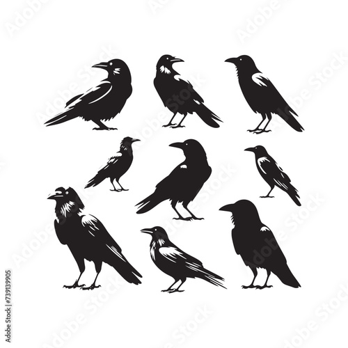 Whispering Shadows: Enigmatic Crow Silhouette in the Veil of Dusk - Crow Vector Stock - Crow Illustration
