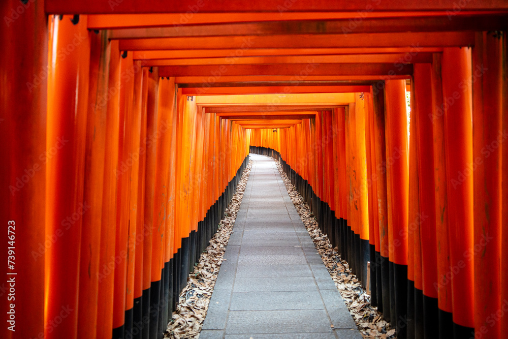 Fototapeta premium japanese temple in kyoto