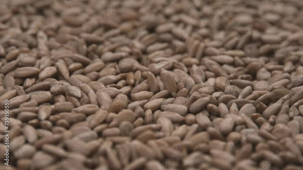 Peeled sunflower seeds, rotation with smooth rotation motion. Close-up of raw sunflower seeds