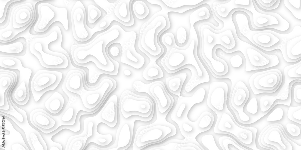 Abstract geometric layered curve line white background. 3d white papercut topography relief. Cover layout template. paper cut topography soft background banner texture. light liquid wave illustration.