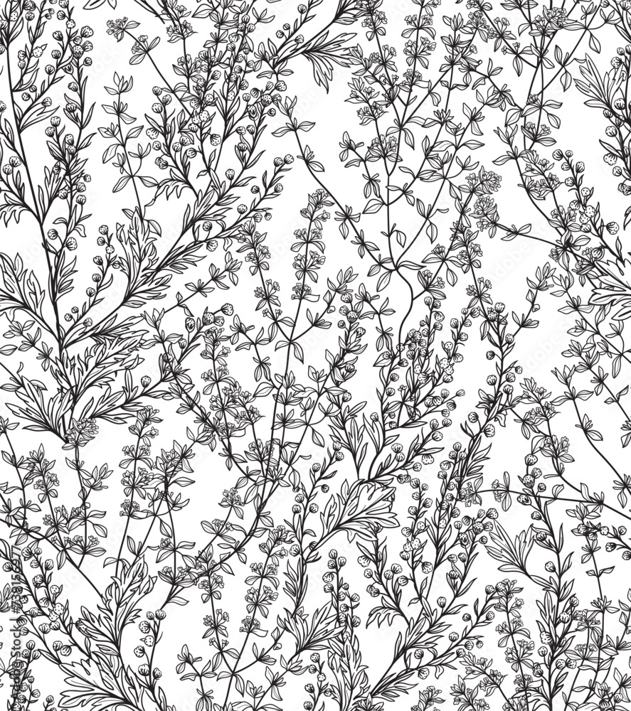 Obraz premium Seamless pattern. Field thume,sagebrush, line drawing. Vector illustration