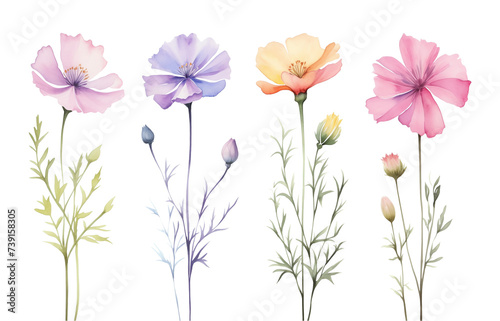 Beautiful Flower Set Watercolor Style Isolated on Transparent Background  © RenZen