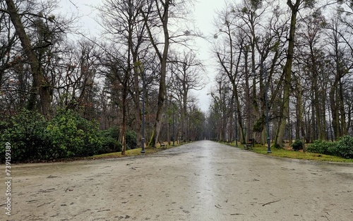 Wet path in the park © Konrad_elx