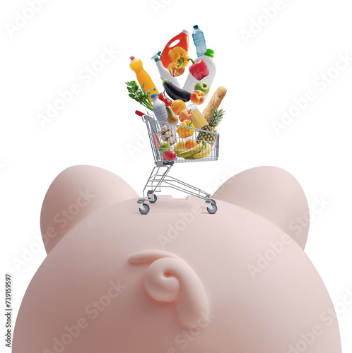 Vászonkép Shopping cart filled with groceries on a piggy bank