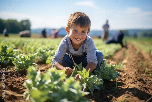 Boy on a soybeans field 