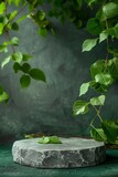 Natural Green Stone Podium with Leaves for Product Display