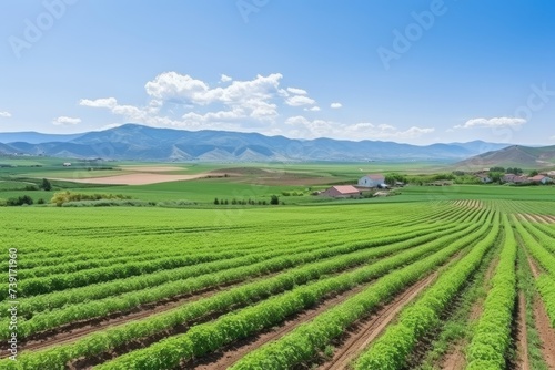 Scenic countryside view of nuclear power plant surrounded by lush fields and clear blue sky