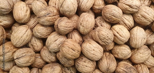 Organic background walnuts, pattern. Walnut in shell isolated. Nuts packaging design, background walnuts closeup.