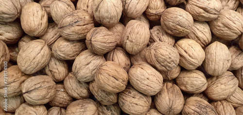 Organic background walnuts, vector, pattern. Walnut in shell vector isolated. Nuts packaging design, background walnuts closeup.	