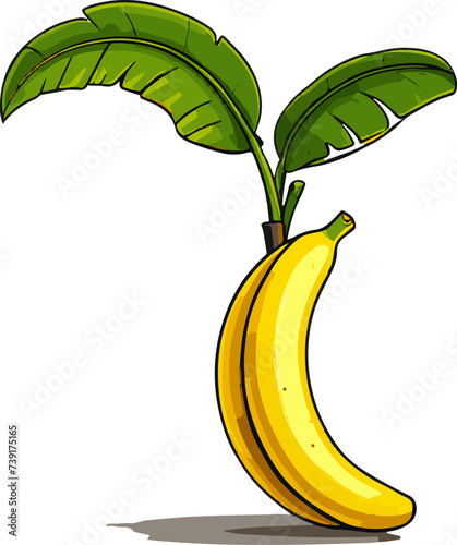 Banana tree. Vector illustration of a banana on a gray background.