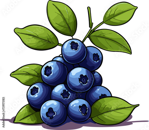 Bunch of ripe blueberries with green leaves. Vector illustration.