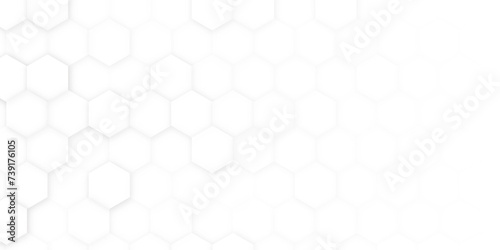 Abstract. Embossed Hexagon , honeycomb white Background. Abstract paper Hexagon white Background ,light and shadow ,Vector