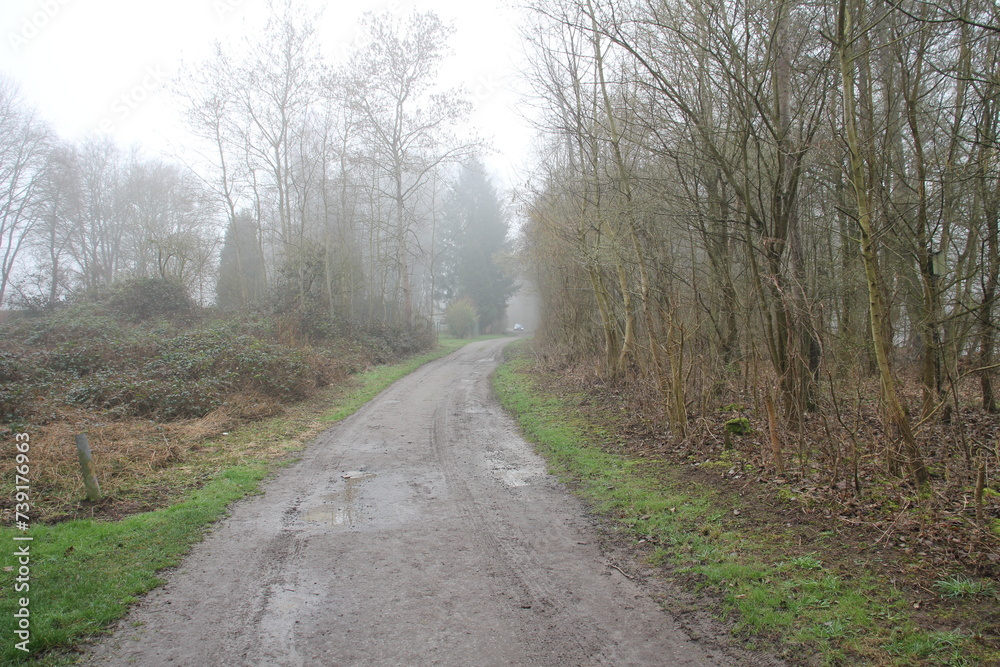 natur natur